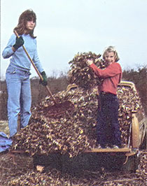 Raking Leaves for Material and Profit Image